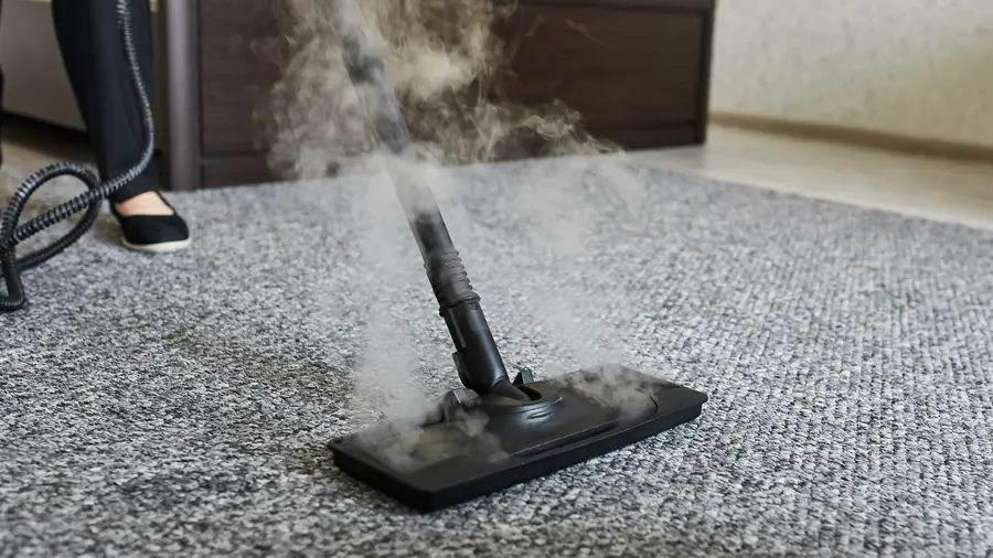 Carpet being steam cleaned in a home